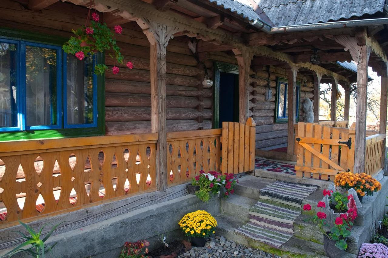 La Rodica In Vale Casa de hóspedes Ocna Şugatag Exterior foto
