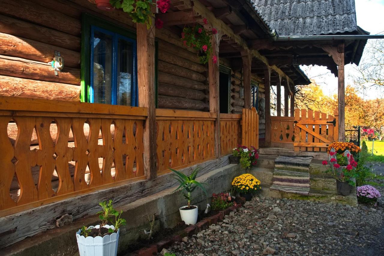 La Rodica In Vale Casa de hóspedes Ocna Şugatag Exterior foto